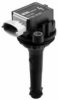 BERU ZSE055 Ignition Coil